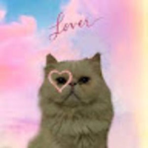 Meet your Posher, Ella